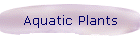Aquatic Plants