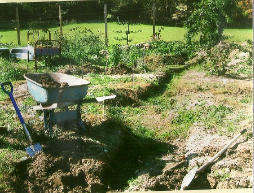 Before in Marshfield