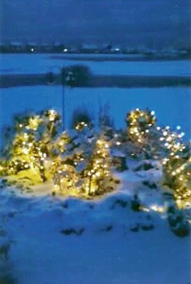 Scituate Christmas Garden